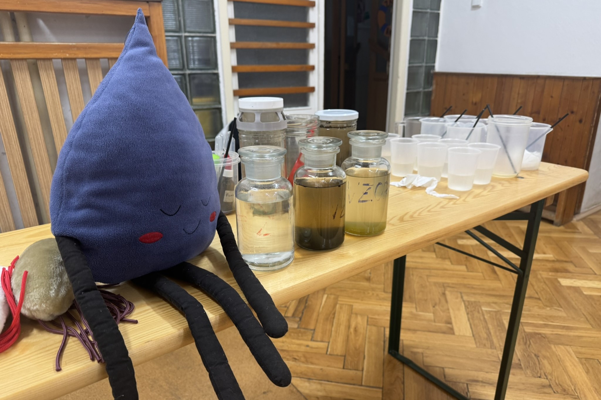 Příměstský tábor v Rumburku