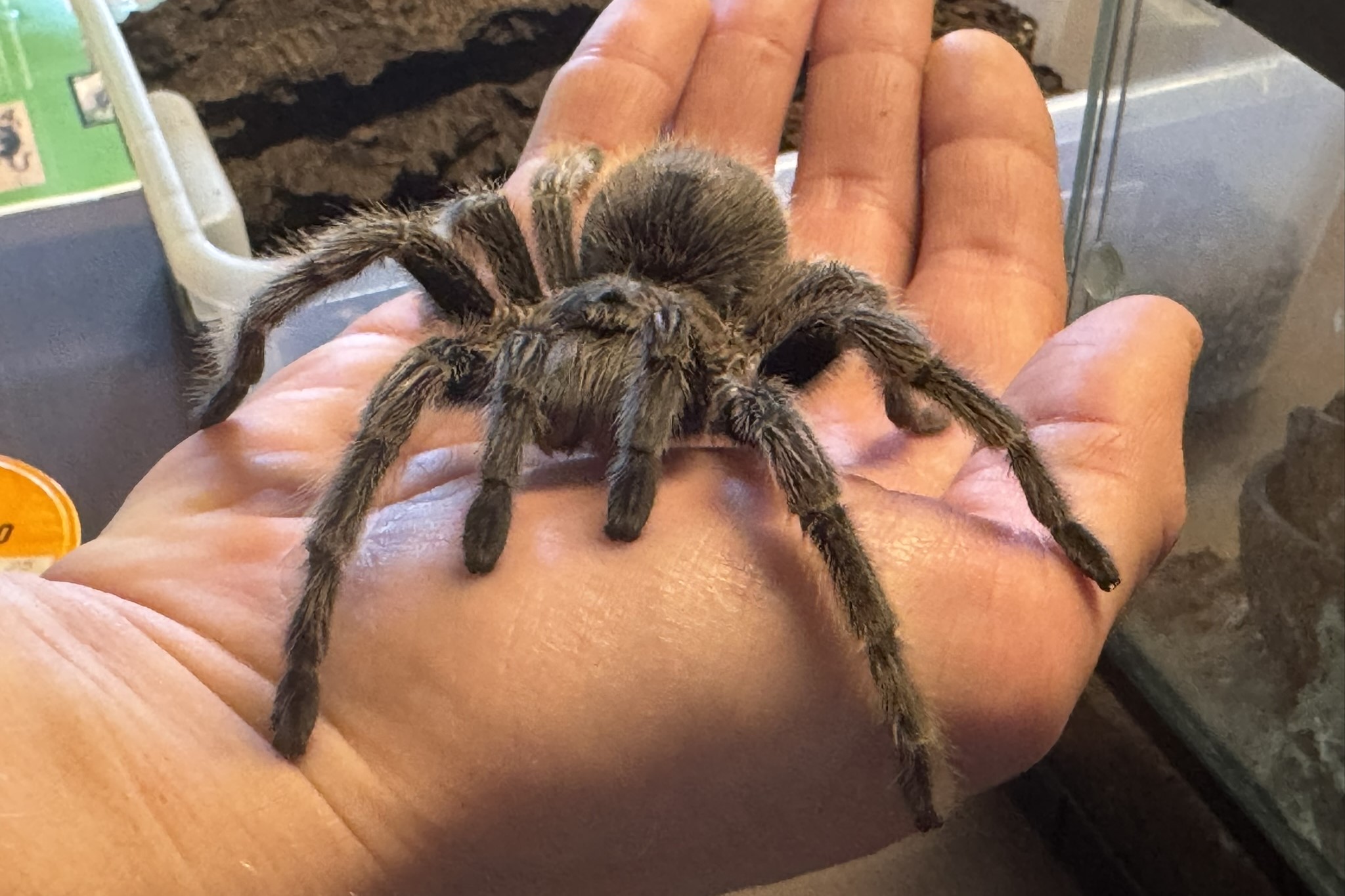 EVVO konference Praha