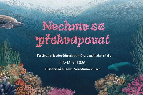 Nechme se překvapovat