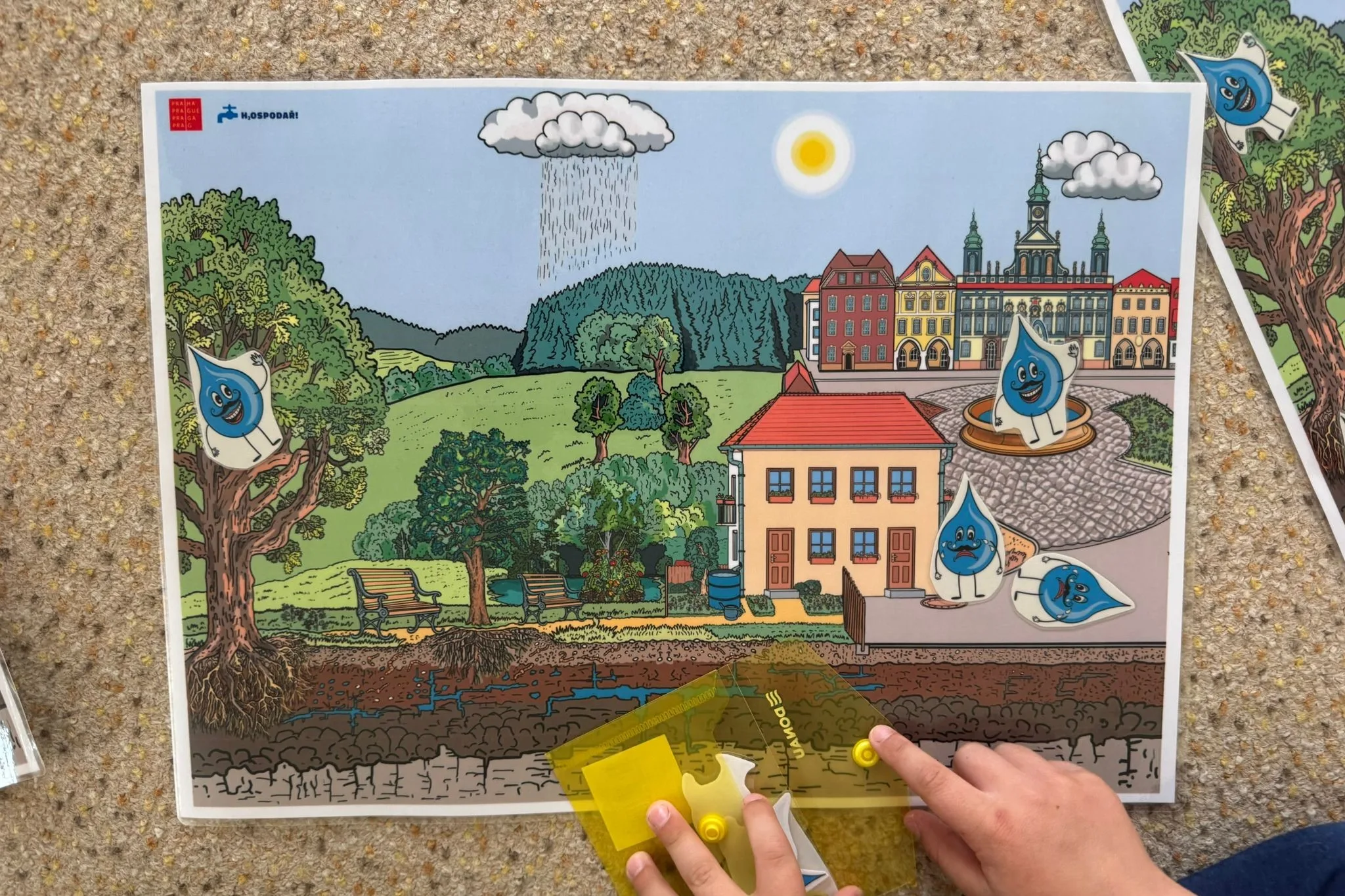 MŠ Palachova